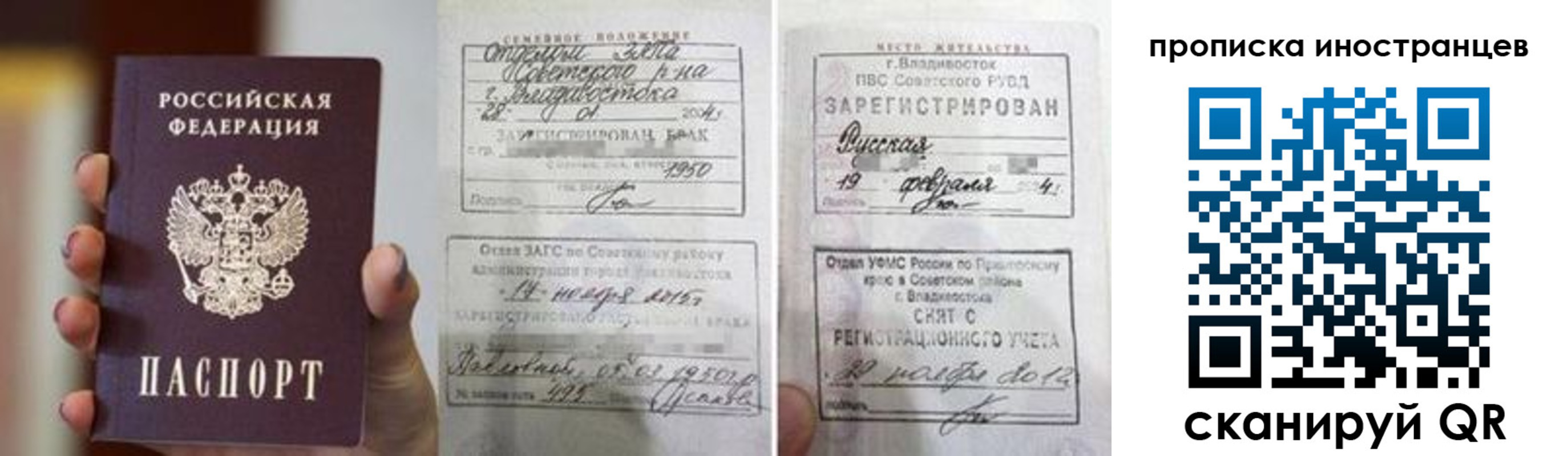прописка законно в Александровске